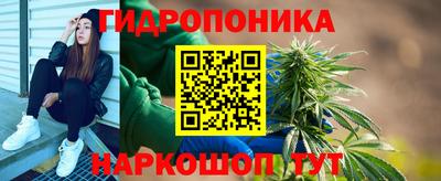 а пвп мука Кингисепп
