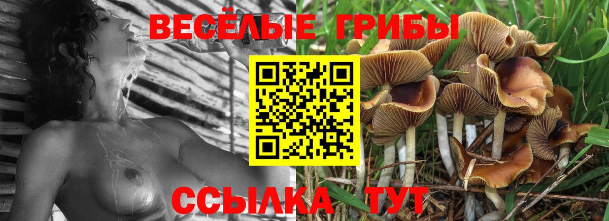 Галлюциногенные грибы ЛСД Кропоткин