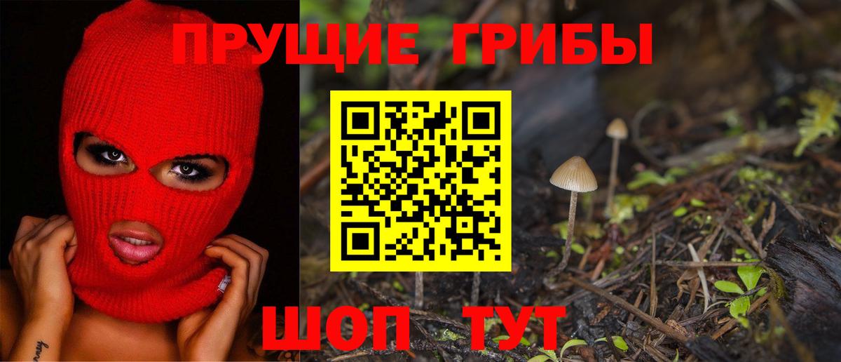 Кропоткин  Галлюциногенные грибы мицелий  Вход с VPN 